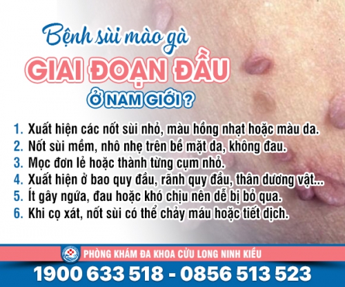 Bệnh sùi mào gà giai đoạn đầu ở nam giới đừng chủ quan