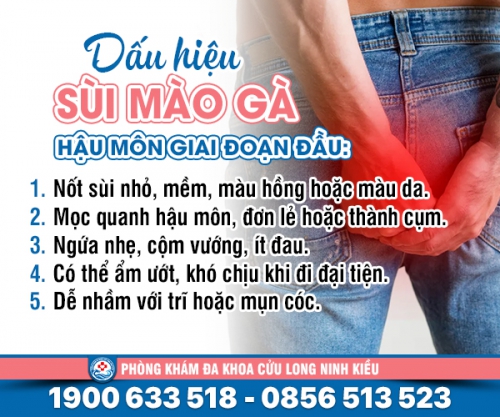 Bệnh sùi mào gà hậu môn giai đoạn đầu