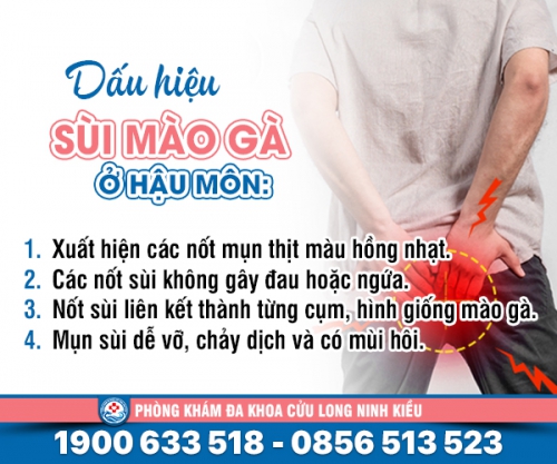 Bệnh sùi mào gà ở hậu môn nữ: Nguyên nhân, dấu hiệu và mức độ nguy hiểm