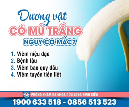 Dương vật có mủ trắng nguy cơ mắc bệnh gì