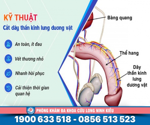 Chia sẻ: Cách chữa trị bệnh xuất tinh sớm