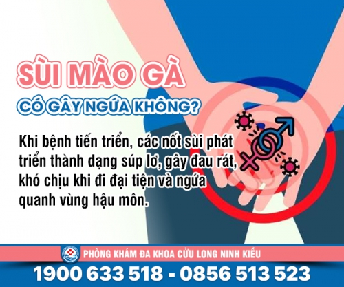 Vạch trần: Bệnh sùi mào gà ở hậu môn có ngứa không