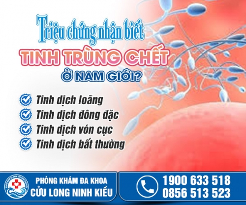 Tinh trùng chết: Dấu hiệu, nguyên nhân, cách nhận biết và điều trị hiệu quả