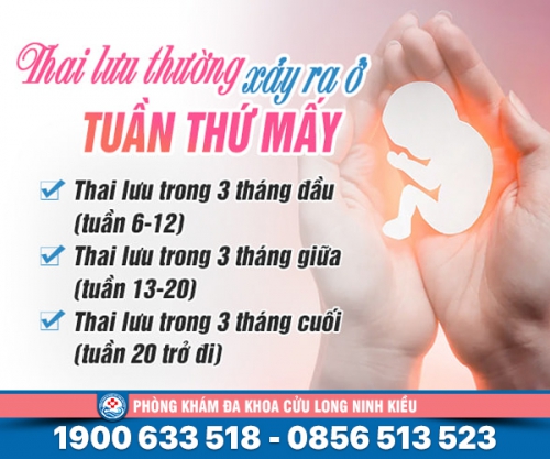 Thai lưu thường xảy ra ở tuần thứ mấy: Giải Đáp Từ Chuyên Gia Sản Phụ Khoa