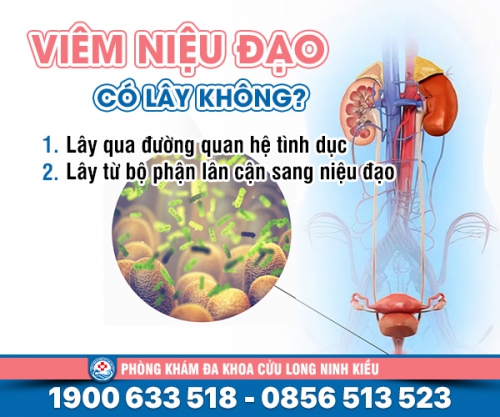 Sự thật: Viêm niệu đạo có lây không?