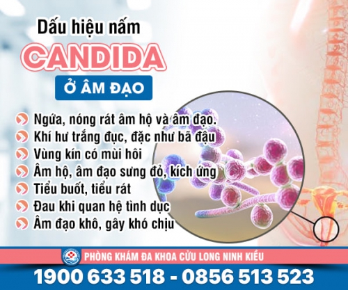 Nấm candida ở nữ giới và những thông tin cần biết