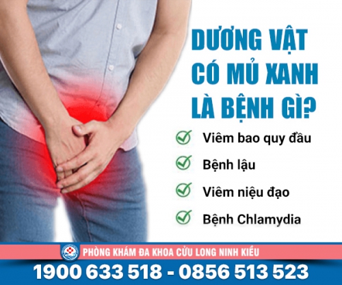 Dương vật chảy dịch xanh cảnh báo bệnh lý khó lường