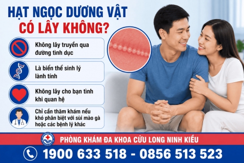 Tiết lộ hạt ngọc dương vật có lây không