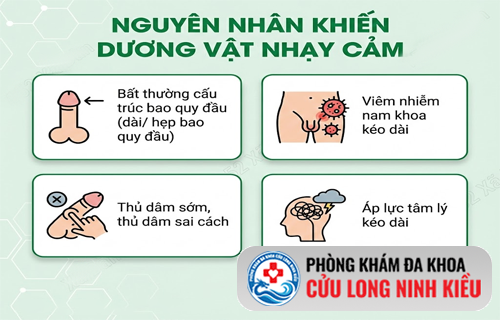 Dương vật nhạy cảm – Nguyên nhân khiến cuộc yêu trở nên chóng vánh