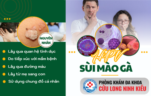 Cẩm nang y khoa: Những kiến thức nền tảng phải biết về virus HPV