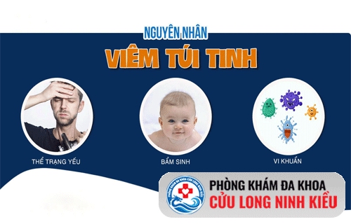 Bệnh viêm túi tinh: Nguyên nhân, dấu hiệu, cách điều trị hiệu quả