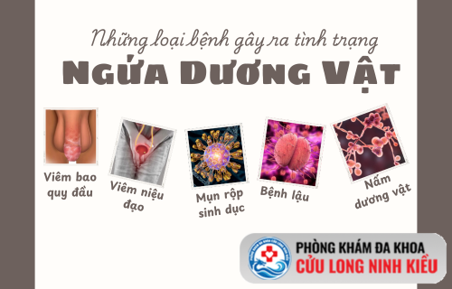 Nam giới bị ngứa dương vật dai dẳng – Cần liên hệ bác sĩ ngay