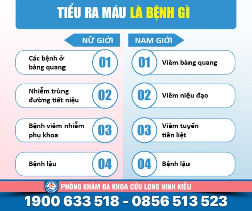 Giải đáp: Đi tiểu ra máu là bệnh gì? Cách chữa hiệu quả